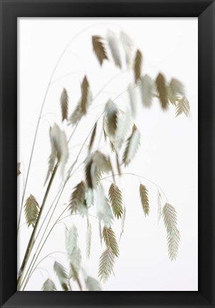 Framed Dried Grass Natural Print