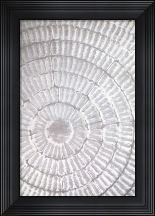 Framed Patternplate Grey 1 Print