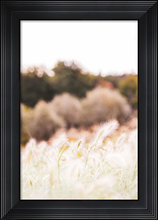 Framed Meadow Print