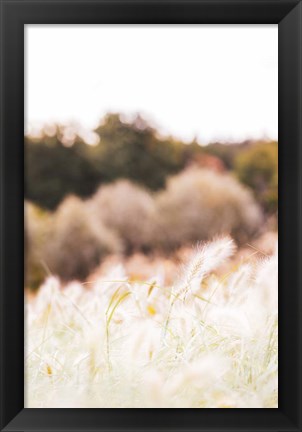 Framed Meadow Print