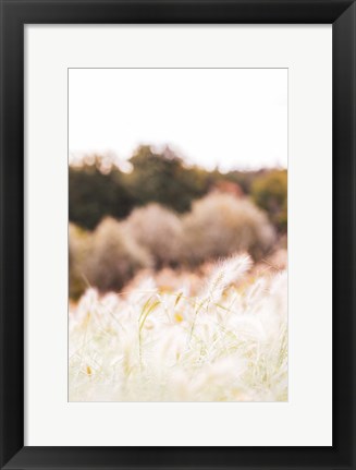 Framed Meadow Print