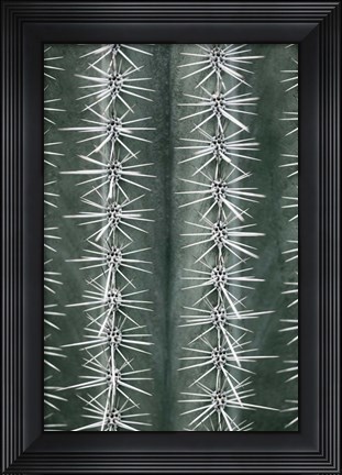 Framed Cactus Green Print