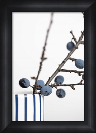 Framed Berries Blue Print