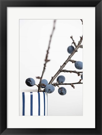 Framed Berries Blue Print