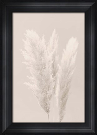 Framed Pampas Grass 2 Print