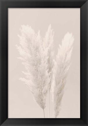 Framed Pampas Grass 2 Print