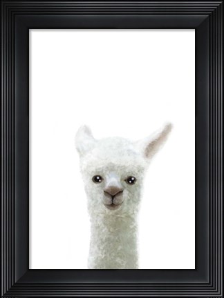 Framed Llama Print