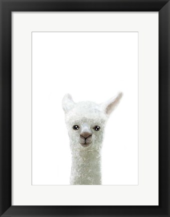 Framed Llama Print