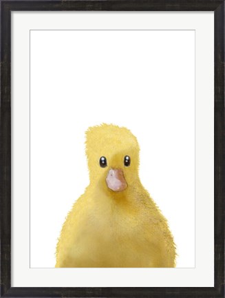 Framed Duck Print