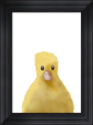 Framed Duck Print