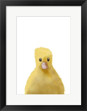 Framed Duck Print