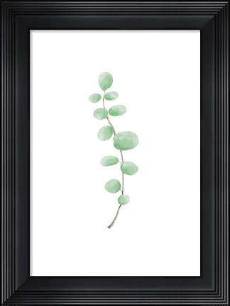 Framed Branch Print