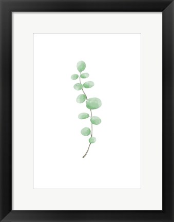 Framed Branch Print