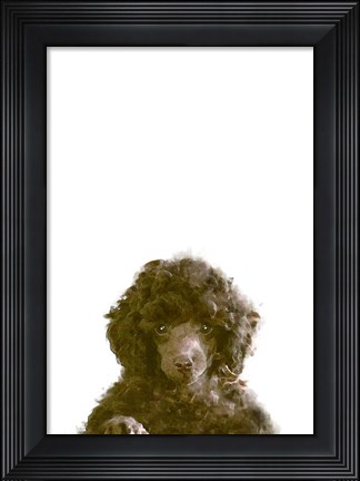 Framed Dog Print