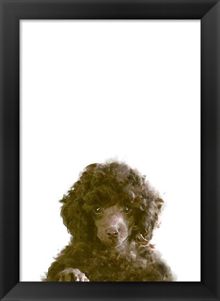 Framed Dog Print