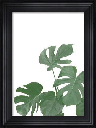 Framed Monstera Aqua 4 Print