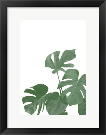 Framed Monstera Aqua 4 Print