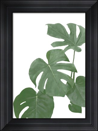 Framed Monstera Aqua 3 Print