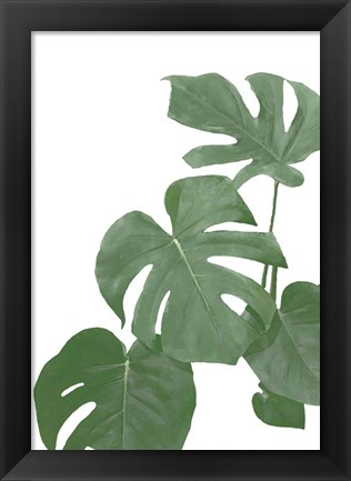 Framed Monstera Aqua 3 Print