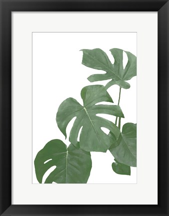 Framed Monstera Aqua 3 Print