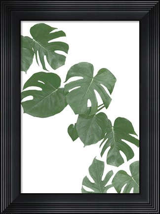 Framed Monstera Aqua 2 Print