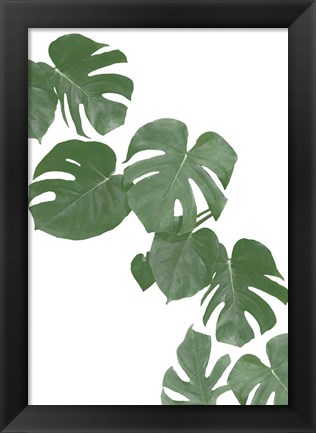 Framed Monstera Aqua 2 Print