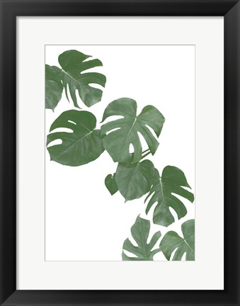 Framed Monstera Aqua 2 Print