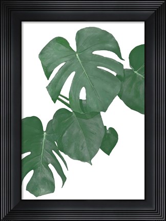 Framed Monstera Aqua 1 Print