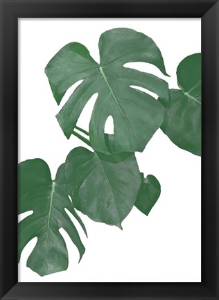 Framed Monstera Aqua 1 Print