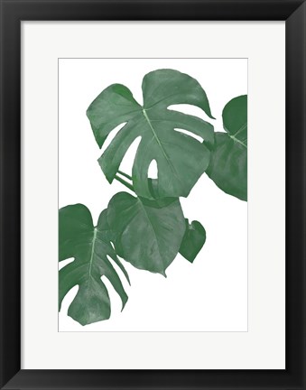 Framed Monstera Aqua 1 Print