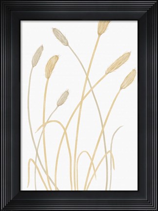 Framed Bunny Grass 1 Print
