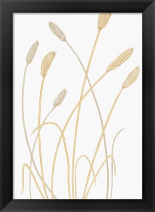 Framed Bunny Grass 1 Print