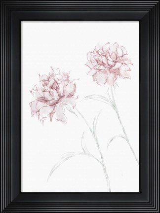 Framed Peony 3 Print