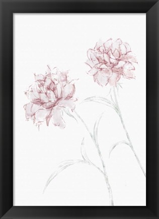 Framed Peony 3 Print