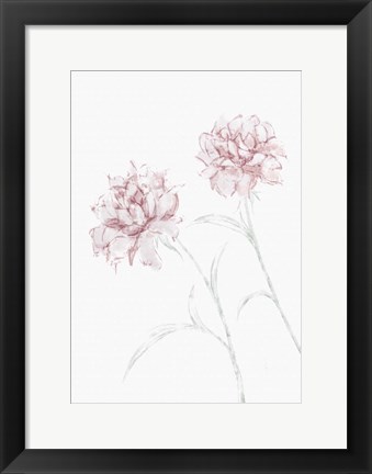 Framed Peony 3 Print