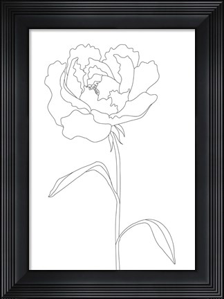 Framed Peony Lines Print