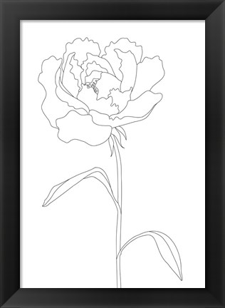 Framed Peony Lines Print