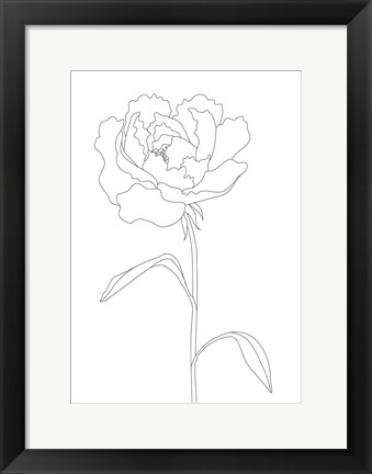 Framed Peony Lines Print