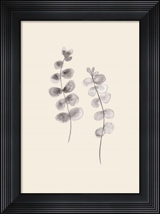 Framed Eucalyptus Twigs Print