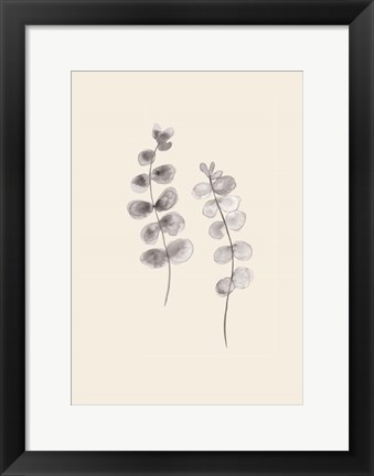 Framed Eucalyptus Twigs Print