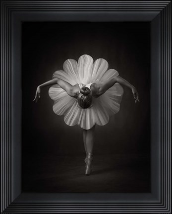 Framed Floral Ballet Print