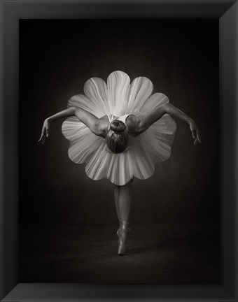 Framed Floral Ballet Print