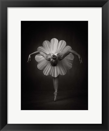 Framed Floral Ballet Print