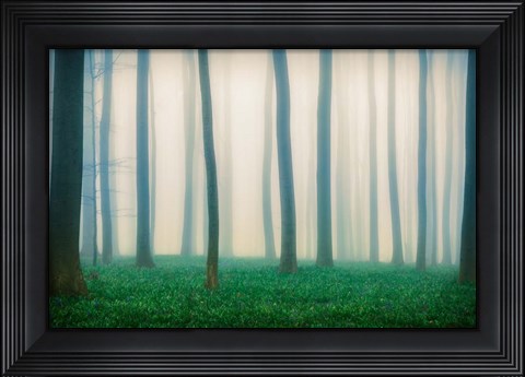 Framed Daydreaming of Bluebells Print
