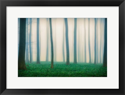 Framed Daydreaming of Bluebells Print