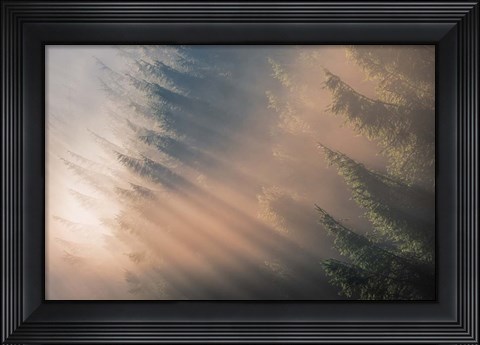 Framed Signs of Autumn Print