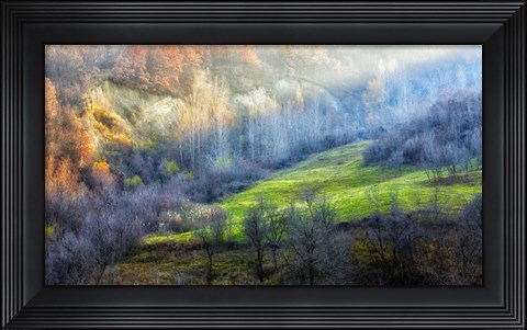 Framed November colors Print