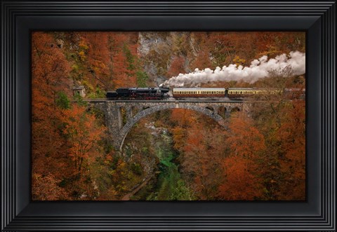Framed Museum Train Print