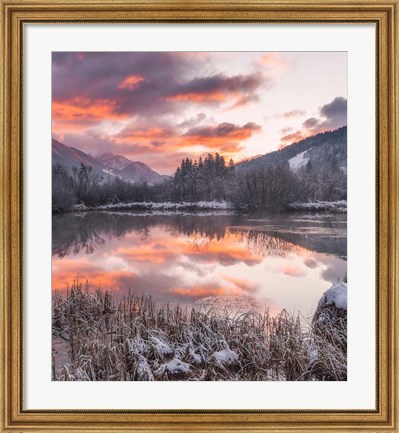 Framed Zelenci Springs Print
