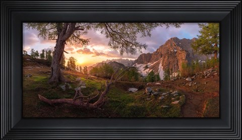 Framed Magical Morning Print